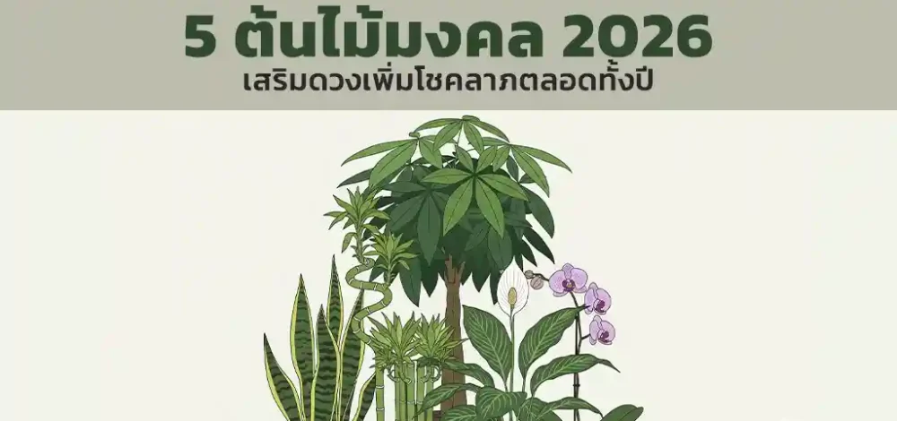 5 ต้นไม้มงคล 2026 เสริมดวงเพิ่มโชคลาภ
