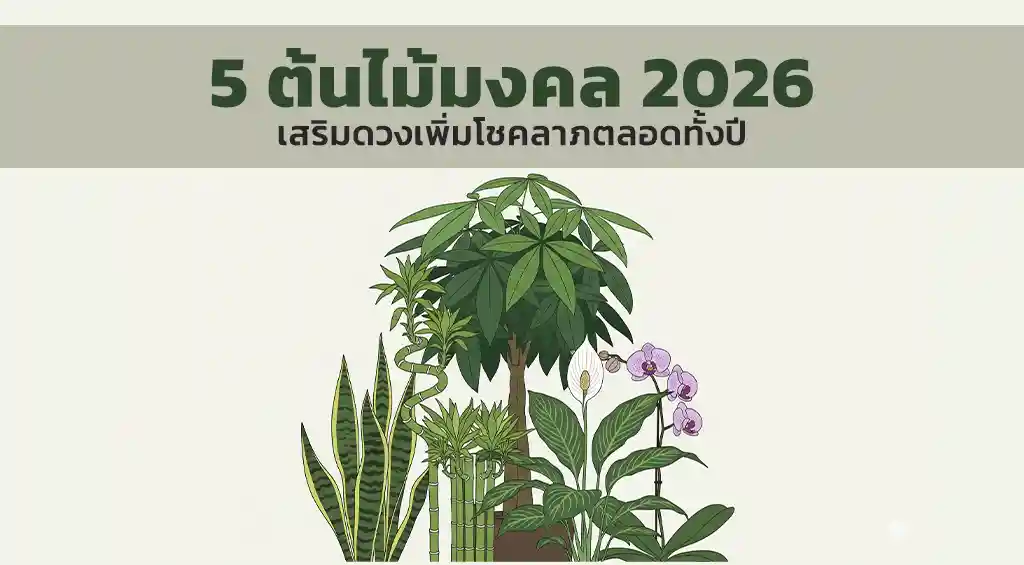 5 ต้นไม้มงคล 2026 เสริมดวงเพิ่มโชคลาภ