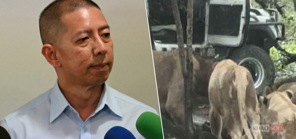 เปิดผลชันสูตรศพ เจ้าหน้าที่สวนสัตว์ ถูกสิงโตขย้ำ เผย 3 จุดตาย