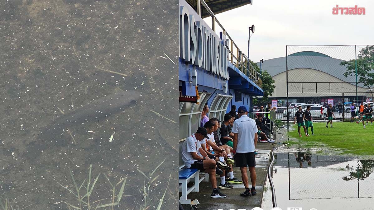ระบบนิเวศน์ดี? สนามทีมไทยลีก3 พบมี ‘ปลาเป็น’ อยู่ในสนาม – เลื่อนเวลาเตะเหตุอากาศไม่เอื้อ