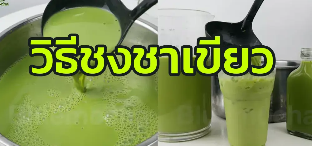 วิธีชงชาเขียว