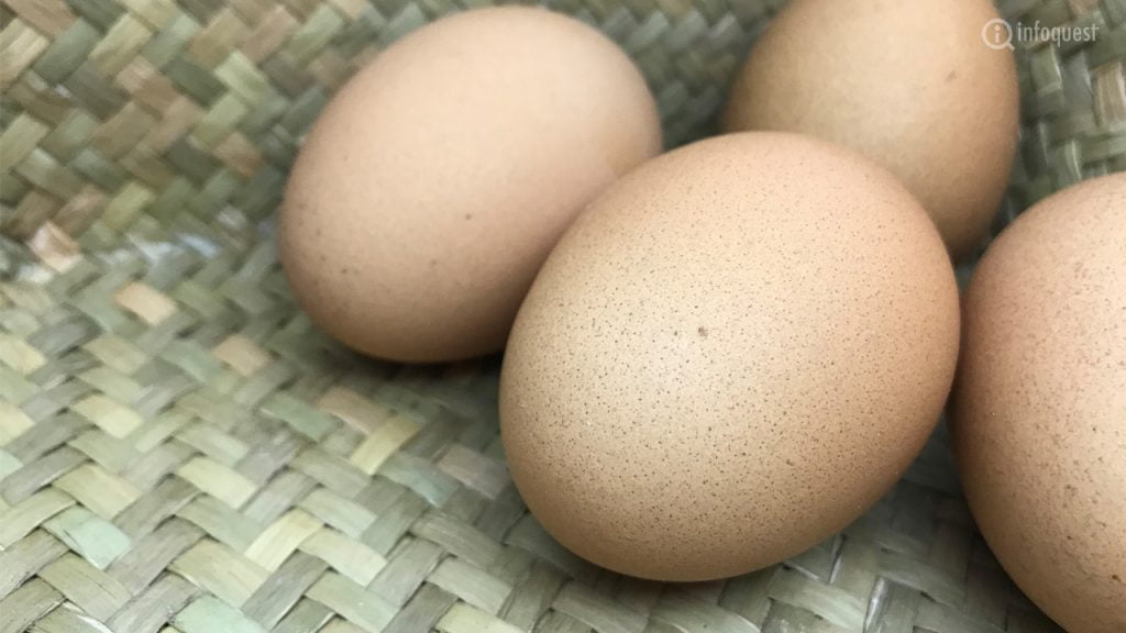 ราคาไข่ไก่ในเกาหลีใต้พุ่ง วิตกไข้หวัดนกกระทบอุปทาน