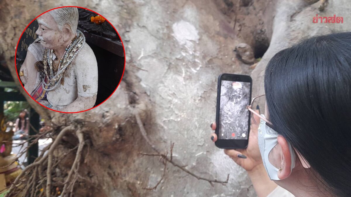 โค้งสุดท้าย ฮือฮาเลขโผล่ ต้นมะเดื่อยักษ์ คำชะโนด แขนรูปปั้นพ่อปู่ก็เจอ ส่องยอดเงินปากนาค