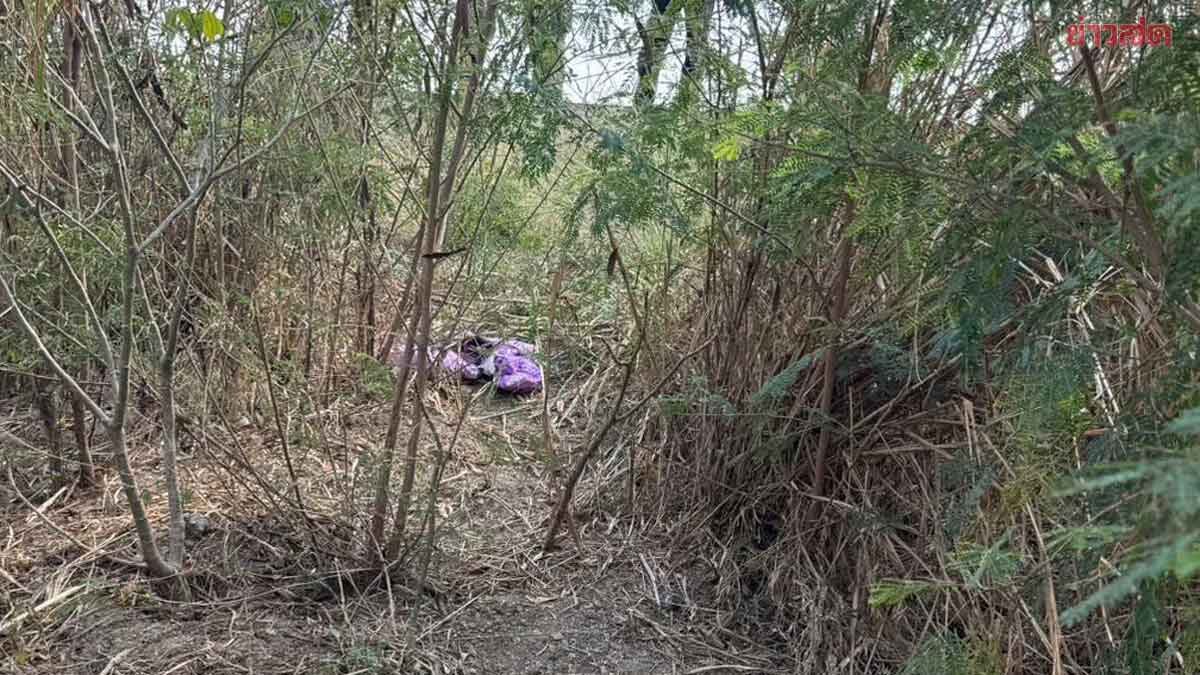 สลด พบศพเด็ก 3-4 ขวบ ร่างอยู่ในป่า ริมคลองหนองโดน สระบุรี เร่งตามหาญาติ