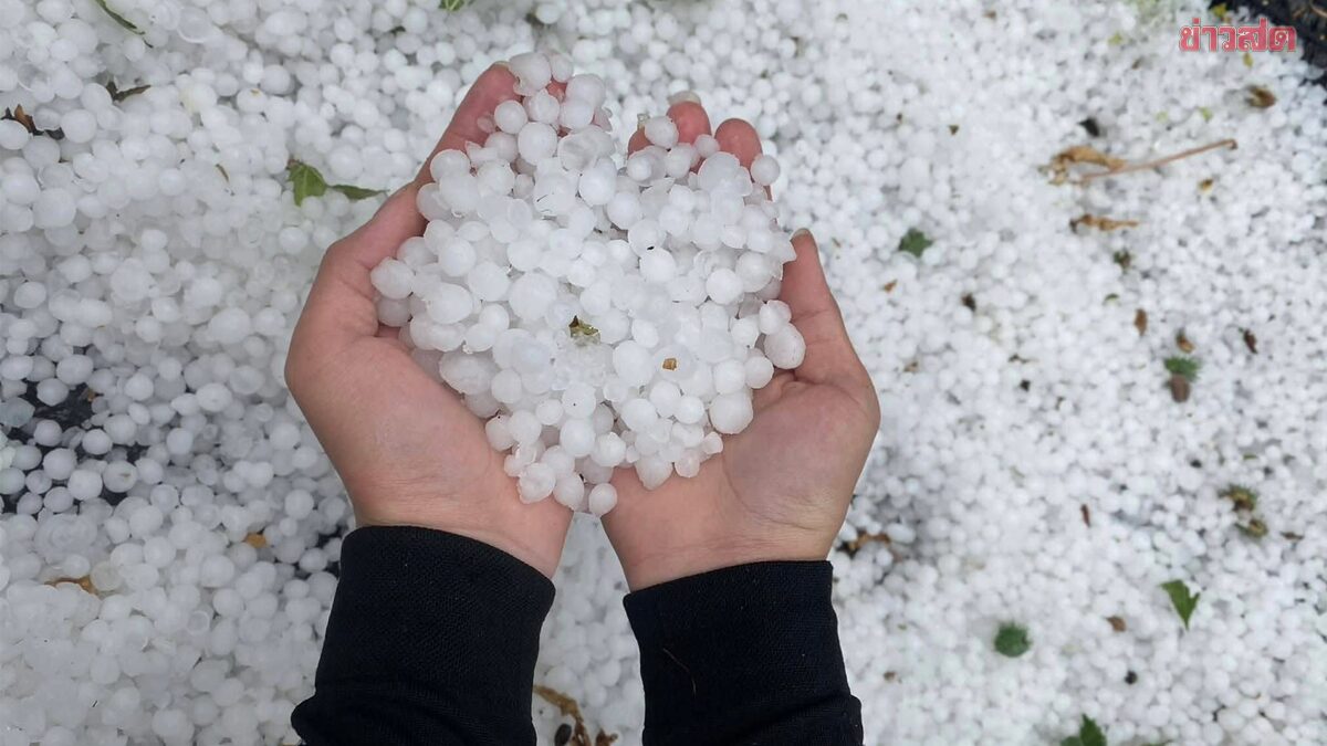 สภาพอากาศวันนี้ ระวังพายุฤดูร้อน ลมแรง ฝนหนัก ลูกเห็บตก 50 จังหวัด