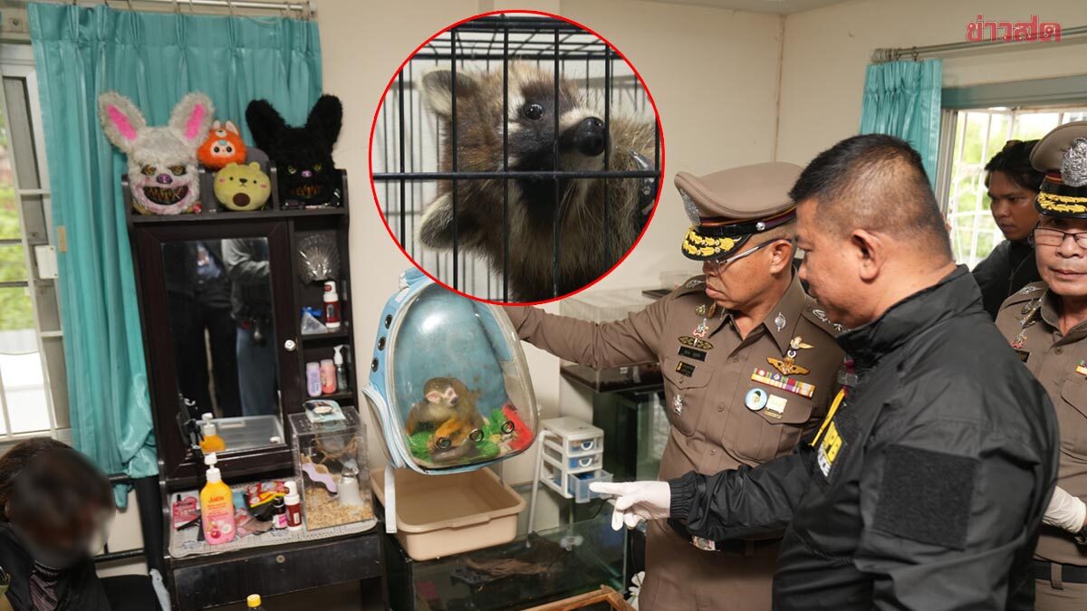 ผบช.น.แถลงจับโจรผัวเมีย ขโมยสัตว์แปลก ค้นห้องเจอเพียบ อ้างเลี้ยงเอง ไม่ได้เอาไปขาย