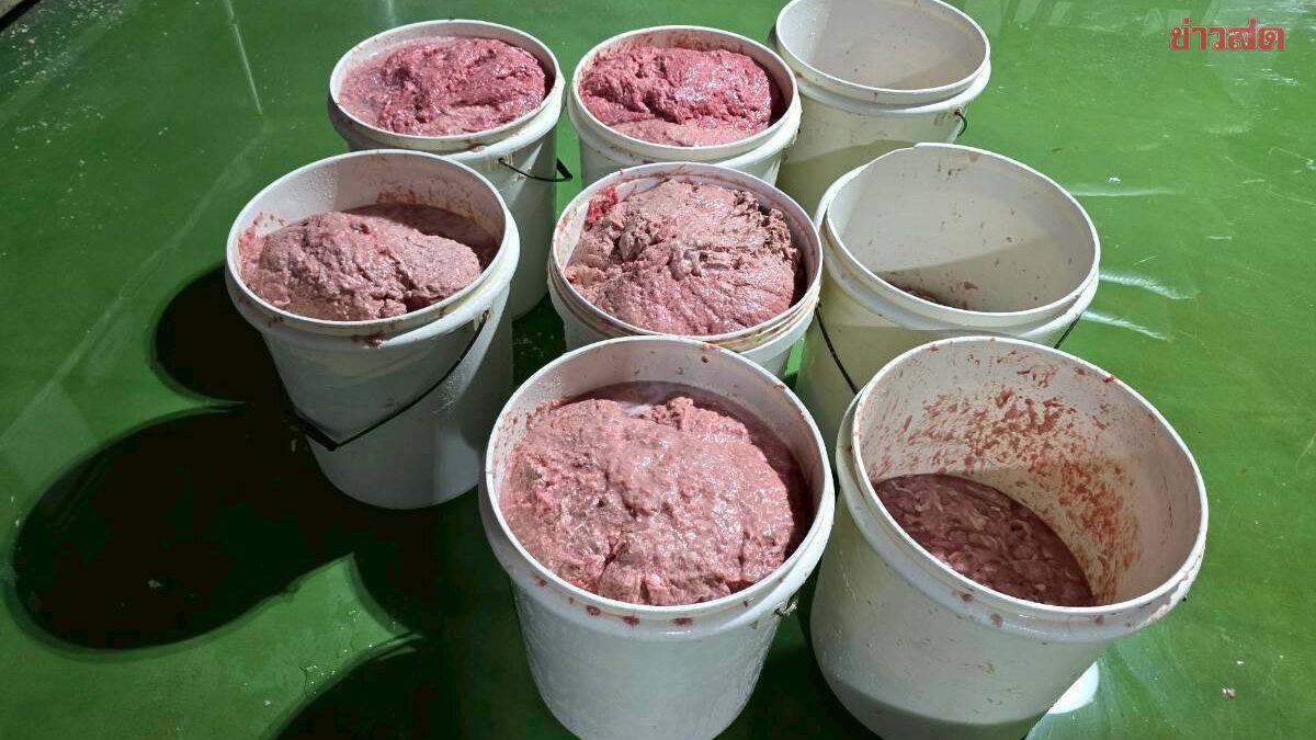 ค้นโรงงานลำลูกกา ลอบผลิตลูกชิ้น หมูยอ ไส้กรอก ช็อกสภาพโรงงาน