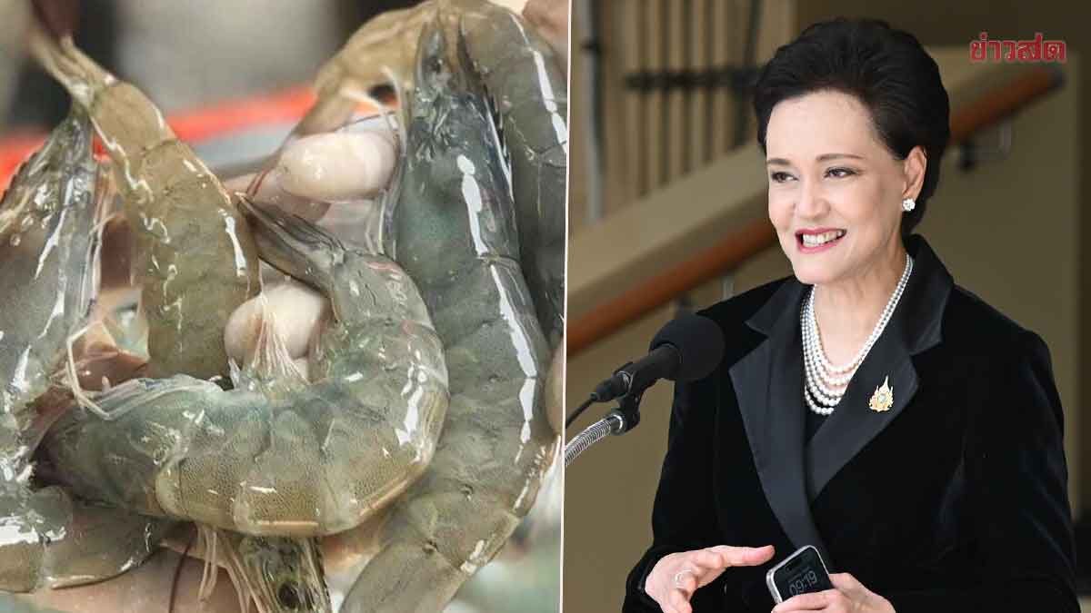 มาเลย์ระงับนำเข้ากุ้งไทย! ศุภจี ลั่นไม่ถูกต้อง ยันกุ้งไทยไร้ปัญหา เจาะตลาดใหม่