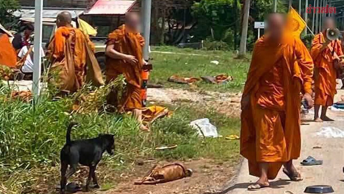 มรณภาพแล้ว 8 รูป เด็ก11ขโมยรถออกมาขับพุ่งชน พระธุดงค์ สาหัส13