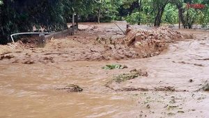 กรมธรณี เปิดชื่อ 11 จังหวัด ฝนถล่มหนัก เสี่ยงดินถล่ม-น้ำป่าไหลหลาก