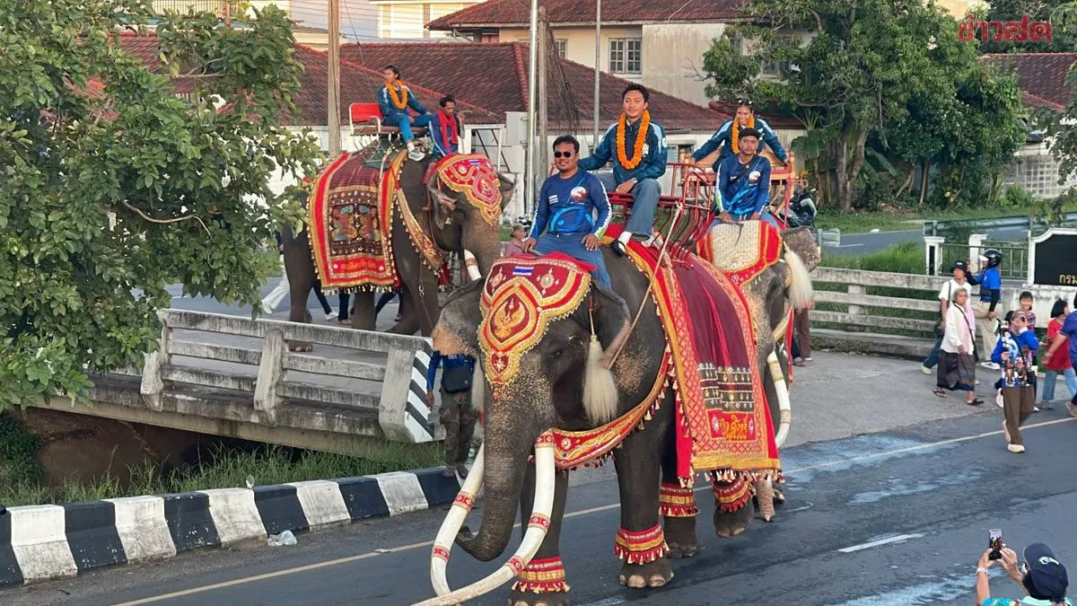 สุรินทร์ จัดใหญ่ ช้าง 9 เชือกต้อนรับ ภูริพล พร้อม 12 นักกีฬากลับบ้านเกิด