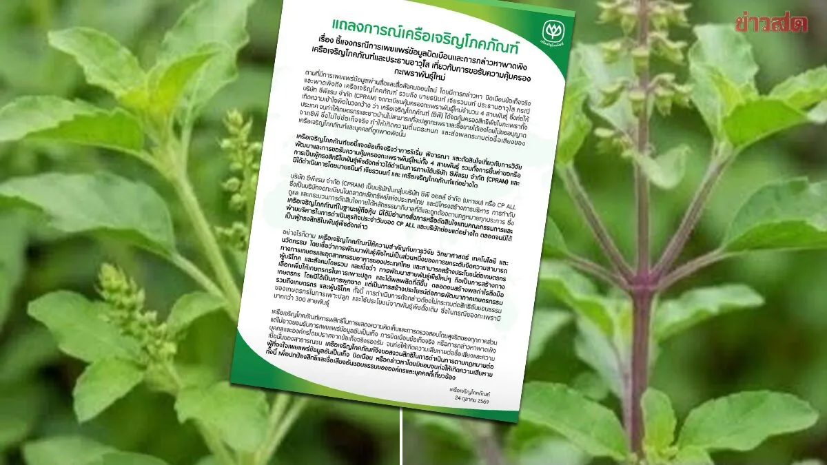 ซีพี ร่อนแถลงการณ์ ปมสิทธิบัตรกะเพรา 4 สายพันธุ์ ซีพีแรม เป็นผู้ดำเนินการจด จ่อใช้กฎหมายผู้ให้ข้อมูลเท็จ